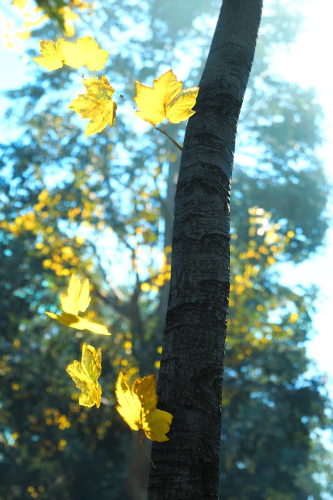 Far-Cry-New-Dawn-081