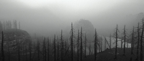 Far-Cry-New-Dawn-136