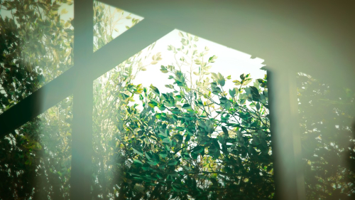 Grand-Theft-Auto-V-012