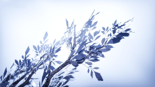 God-of-War-Ragnarok-043