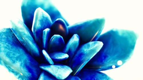 Kena-Bridge-of-Spirits-011