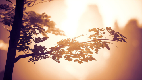 Kena-Bridge-of-Spirits-025