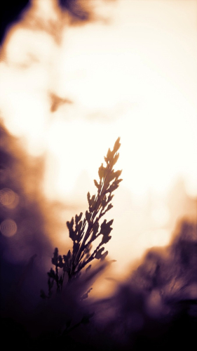 Kena: Bridge of Spirits_20231026151450