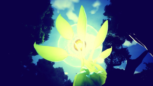 Kena-Bridge-of-Spirits-173