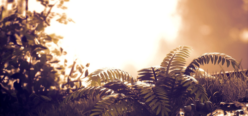 Kena-Bridge-of-Spirits-212