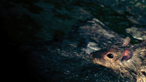 RE4-Separate-Ways-035