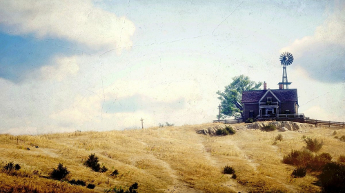 Red-Dead-Redemption-2-024