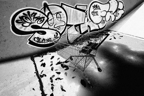 Session-Skate-Sim-002