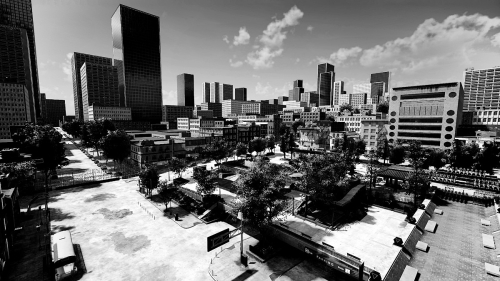 Session-Skate-Sim-026