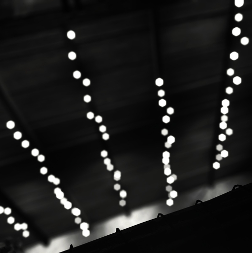 Shadow-of-the-Tomb-Raider-043