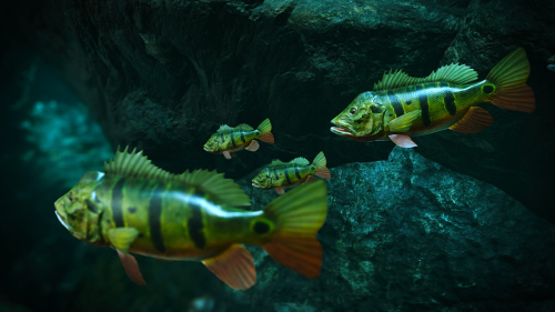 Shadow-of-the-Tomb-Raider-065