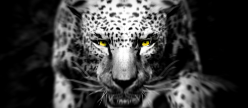 Shadow-of-the-Tomb-Raider-118