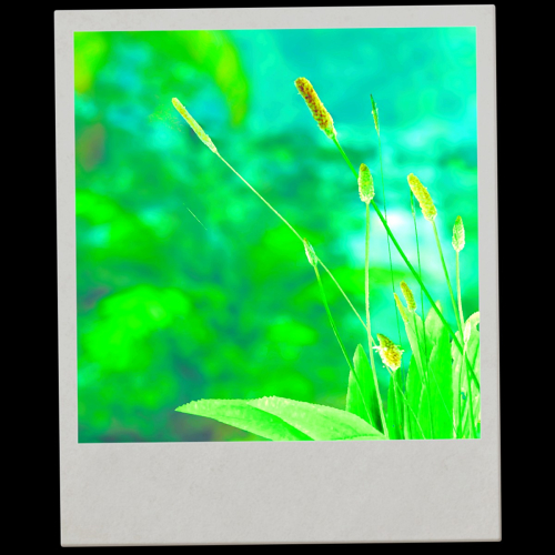 Shadow-of-the-Tomb-Raider-129