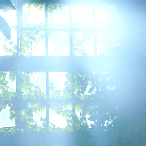 Shadow-of-the-Tomb-Raider-170