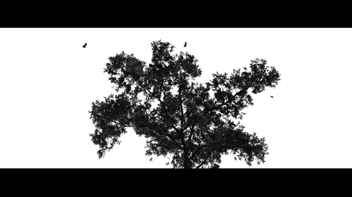 Shadow-of-the-Tomb-Raider-187