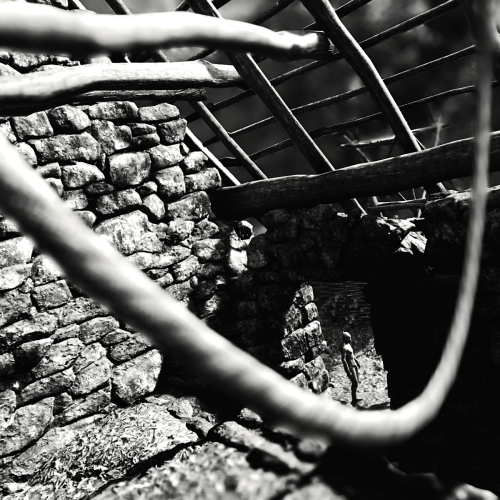 Shadow-of-the-Tomb-Raider-204