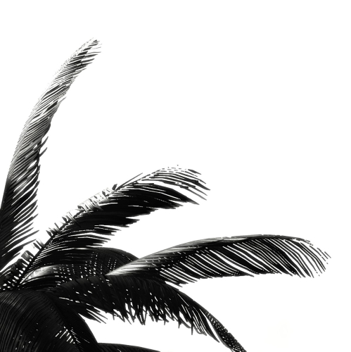 Shadow-of-the-Tomb-Raider-238