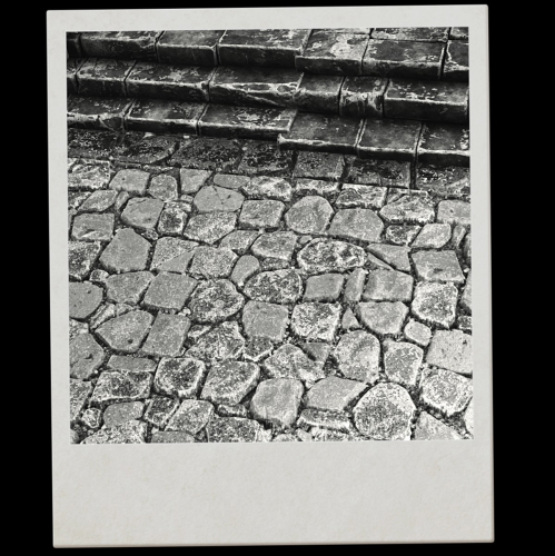 Shadow-of-the-Tomb-Raider-241