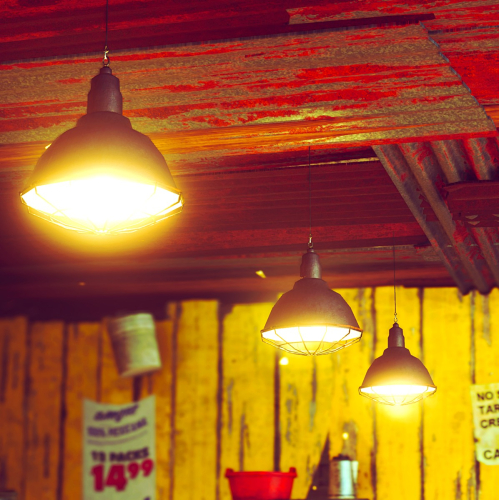 Shadow-of-the-Tomb-Raider-099