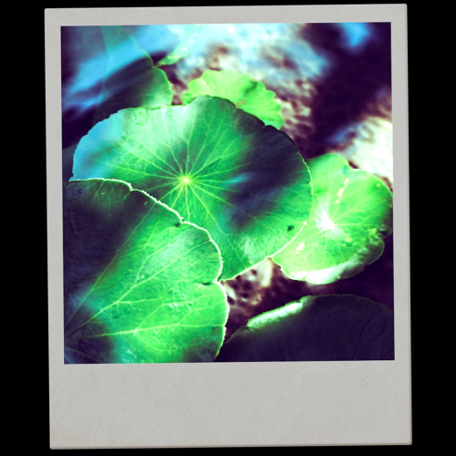 Shadow-of-the-Tomb-Raider-019