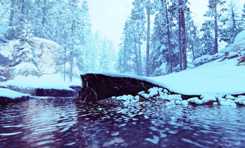 The-Last-of-Us-Part-II-026