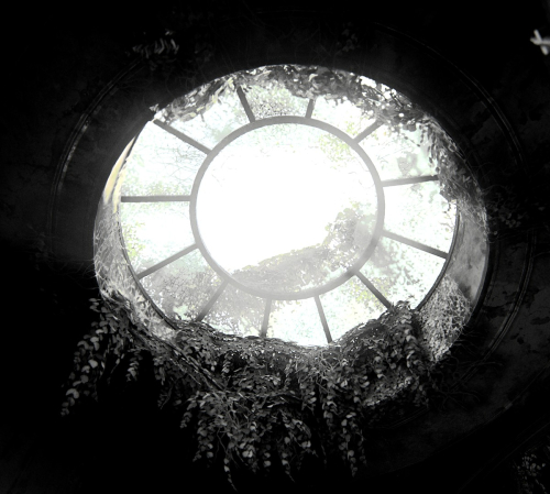 The-Last-of-Us-Part-II-085