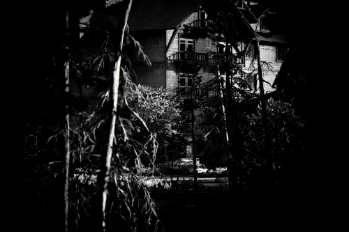 The-Last-of-Us-Part-II-117