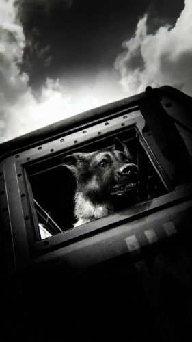 The-Last-of-Us-Part-II-126