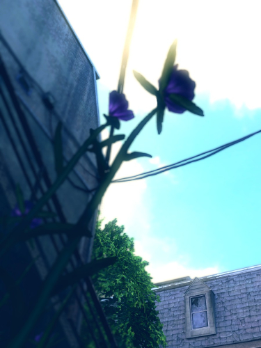 The-Last-of-Us-Remastered-044