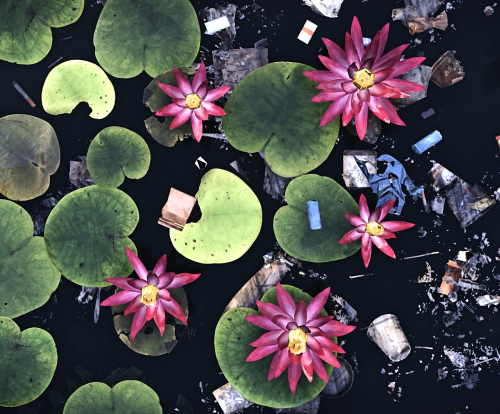 Tom Clancy's The Division 2